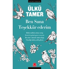Kırmızı Kedi Yayınevi Ben Sana Teşekkür Ederim
