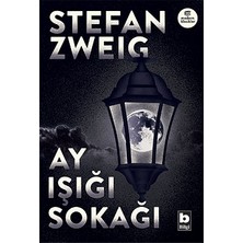 Bilgi Yayınevi Ay Işığı Sokağı