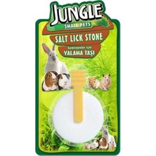 Brf Store Lizbon Center Jungle Kemirgen Yalama Taşı
