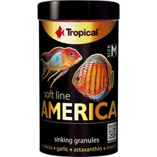 Brf Store Lizbon Center Tropical Soft Line America Size M 100ML 60GR