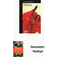 Yapı Kredi Yayınları Fil Kazası + Geometri Hediye