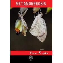 Platanus Publishing Metamorphosis