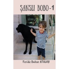 Platanus Publishing Şanslı Bobo - 1