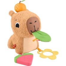 Brf Store Lizbon Center Fisher-Price 3 Ay ve Üzeri Bebekler Için Yumuşacık Obur Kapi Duyusal Gelişim Oyuncağı,