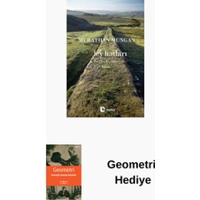 Metis Yayınları Ley Hatları + Geometri Hediye