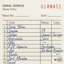 Can Yayınları Seviş Yolcu