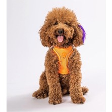 Pawstar Neon Turuncu Air-Mesh Göğüs Tasması Kedi Köpek Göğüs Tasması Neon Turuncu Xl