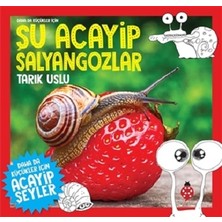 Uğurböceği Yayınları Daha Da Küçükler Için Şu Acayip Salyangozlar