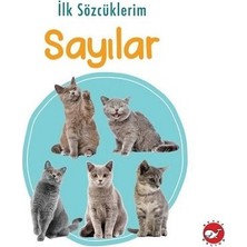 Beyaz Balina Yayınları Ilk Sözcüklerim - Sayılar