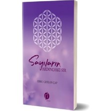 Herdem Kitap Sayıların Ardındaki