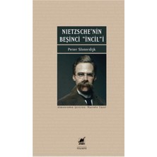 Ayrıntı Yayınları Nietzsche'nin Beşinci Incili Iyi Haberin Düzeltilmesi Üzerine