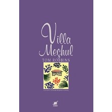 Ayrıntı Yayınları Villa Meçhul