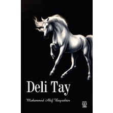Luna Yayınları Deli Tay