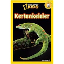 Beta Kids Kertenkeleler