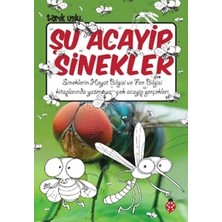 Uğurböceği Yayınları Şu Acayip Sinekler