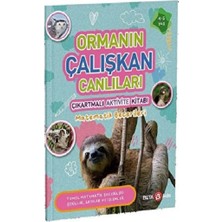 Beta Kids Ormanın Çalışkan Canlıları Çıkartmalı Aktivite Kitabı Matematik Becerileri