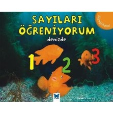 Mavi Kelebek Yayınları Sayıları Öğreniyorum - Denizde