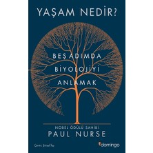 Domingo Yayınevi Yaşam Nedir?
