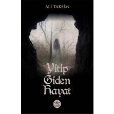 Elpis Yayınları Yitip Giden Hayat