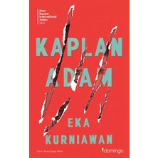 Domingo Yayınevi Kaplan Adam