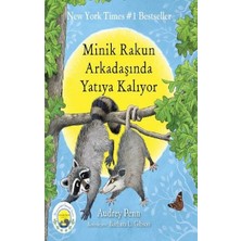 Butik Yayınları Minik Rakun Arkadaşında Yatıya Kalıyor