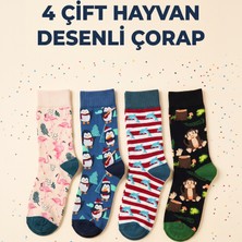 The Mask Elturko 4 Çift Desenli Kadın Çorap / Renkli Çorap / Kalın Çorap