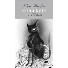 Kolektif Kitap Kara Kedi