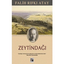 Pozitif Yayınları Zeytindağı -Özgün Metin-