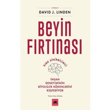 Kolektif Kitap Beyin Fırtınası