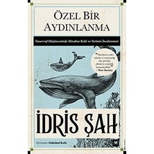 Beyaz Baykuş Yayınları Özel Bir Aydınlanma