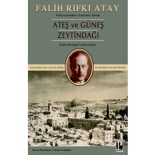 Pozitif Yayınları Ateş ve Güneş Zeytindağı