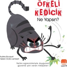 Uçan Fil Yayınları Öfkeli Kedicik Ne Yapsın?