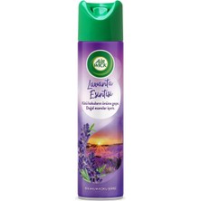 Air Wick Aerosol Lavanta Esintisi Oda Kokusu 300 ml (5'li Paket)