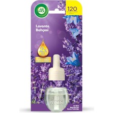Air Wick Elektrikli Yedek Şişe Lavanta Bahçesi 19 ml (5'li Paket)