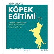 Brf Store Lizbon Center Her Yönüyle Köpek Eğitimi