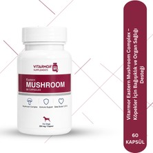 VITARMOR SUPPLEMENTS Vitarmor Eastern Mushroom Complex – Köpekler Için Bağışıklık ve Organ Sağlığı Desteği 60 Kapsül