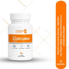 VITARMOR SUPPLEMENTS Vitarmor Curcumin Extract Dogs – Köpekler Için Eklem Sağlığı, Fiziksel ve Antioksidan Destek 30 Kapsül