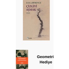 Metis Yayınları Çizgiyi Aşmak + Geometri Hediye