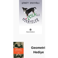 Remzi Kitabevi Leyla'lı Hikayeler + Geometri Hediye