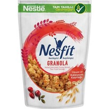 Nestle Nestlé Nesfit Yulaf, Kabak Çekirdeği & Cranberry Granola 300 G (3'li Paket)
