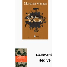 Metis Yayınları Şairin Romanı + Geometri Hediye