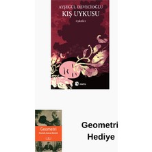 Metis Yayınları Kış Uykusu + Geometri Hediye