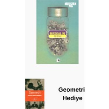 Metis Yayınları Meskalin 60 Draje + Geometri Hediye