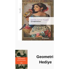 İnkılap Kitabevi Çingeneler - Livaneli Kitaplığı + Geometri Hediye