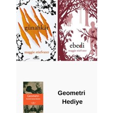 Pegasus Maggie Stiefvater 2 Kitap Seti + Geometri Hediye