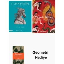 İnkılap Kitabevi Pelin Batu 2 Kitap Seti + Geometri Hediye