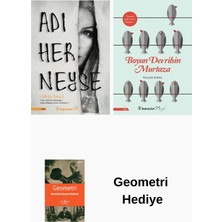İnkılap Kitabevi Özlem Binel 2 Kitap Seti + Geometri Hediye