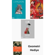 İnkılap Kitabevi Pelin Batu 3 Kitap Seti + Geometri Hediye
