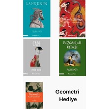 İnkılap Kitabevi Pelin Batu 4 Kitap Seti + Geometri Hediye