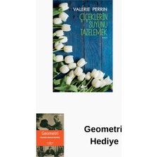 Pegasus Çiçeklerin Suyunu Tazelemek + Geometri Hediye